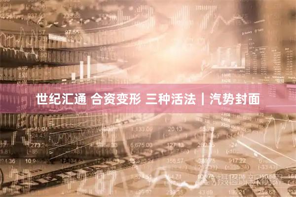 世纪汇通 合资变形 三种活法｜汽势封面