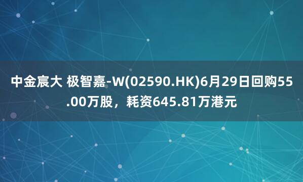 中金宸大 极智嘉-W(02590.HK)6月29日回购55.00万股，耗资645.81万港元